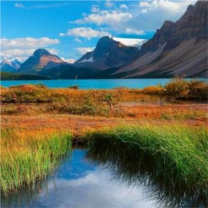 Meet your Posher, Mudryk